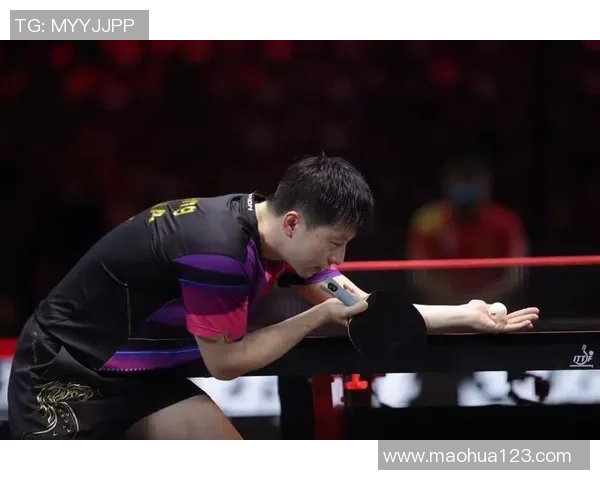 深圳排球队以52分领跑大满贯积分榜展现强劲实力与团队合作精神